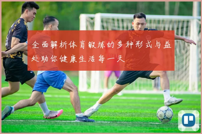 全面解析体育锻炼的多种形式与益处助你健康生活每一天