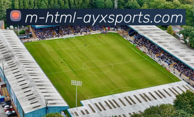 爱游戏APP 体育赛事宣传图